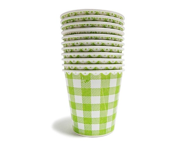 家庭菜園初心者にもオススメ コップでできる野菜づくり